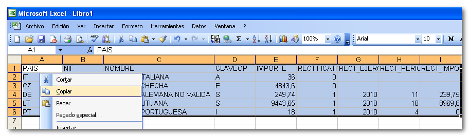 Copiado en Microsoft Excel.