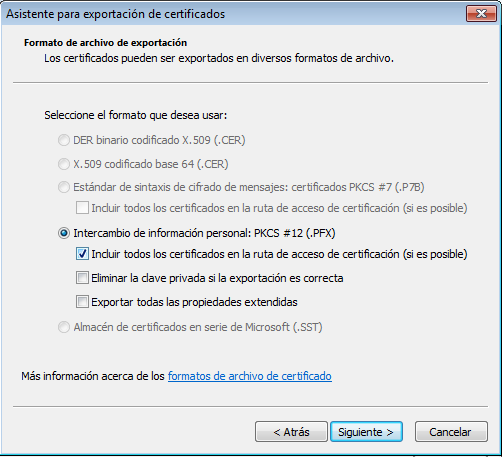 Opciones de exportación de certificado digital en Explorer