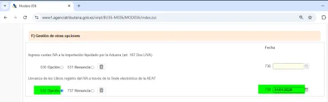 Acogerse al SII de forma voluntaria, casilla 532